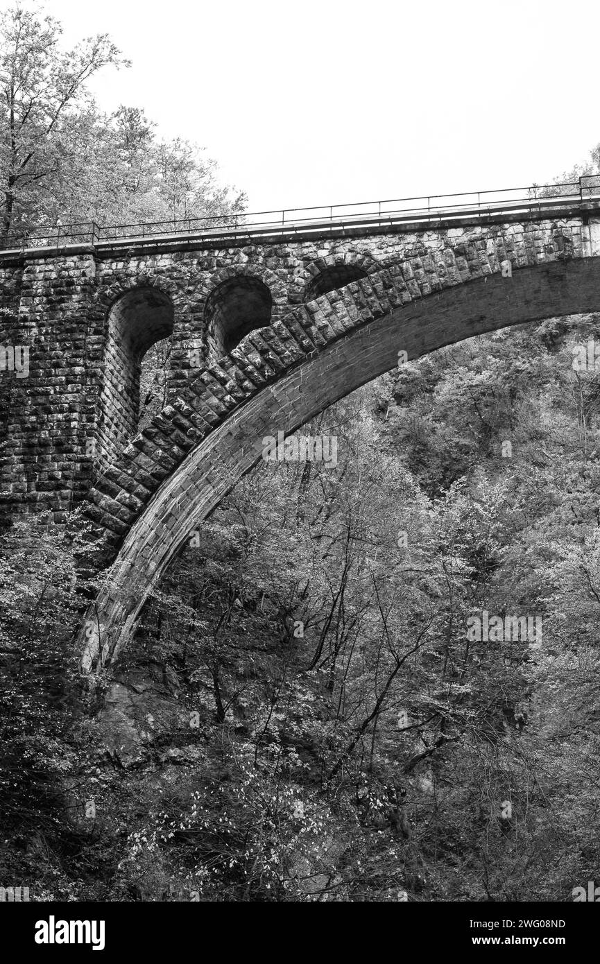 Ponte di pietra sul fiume in Slovenia, gola di Vintgar Foto Stock