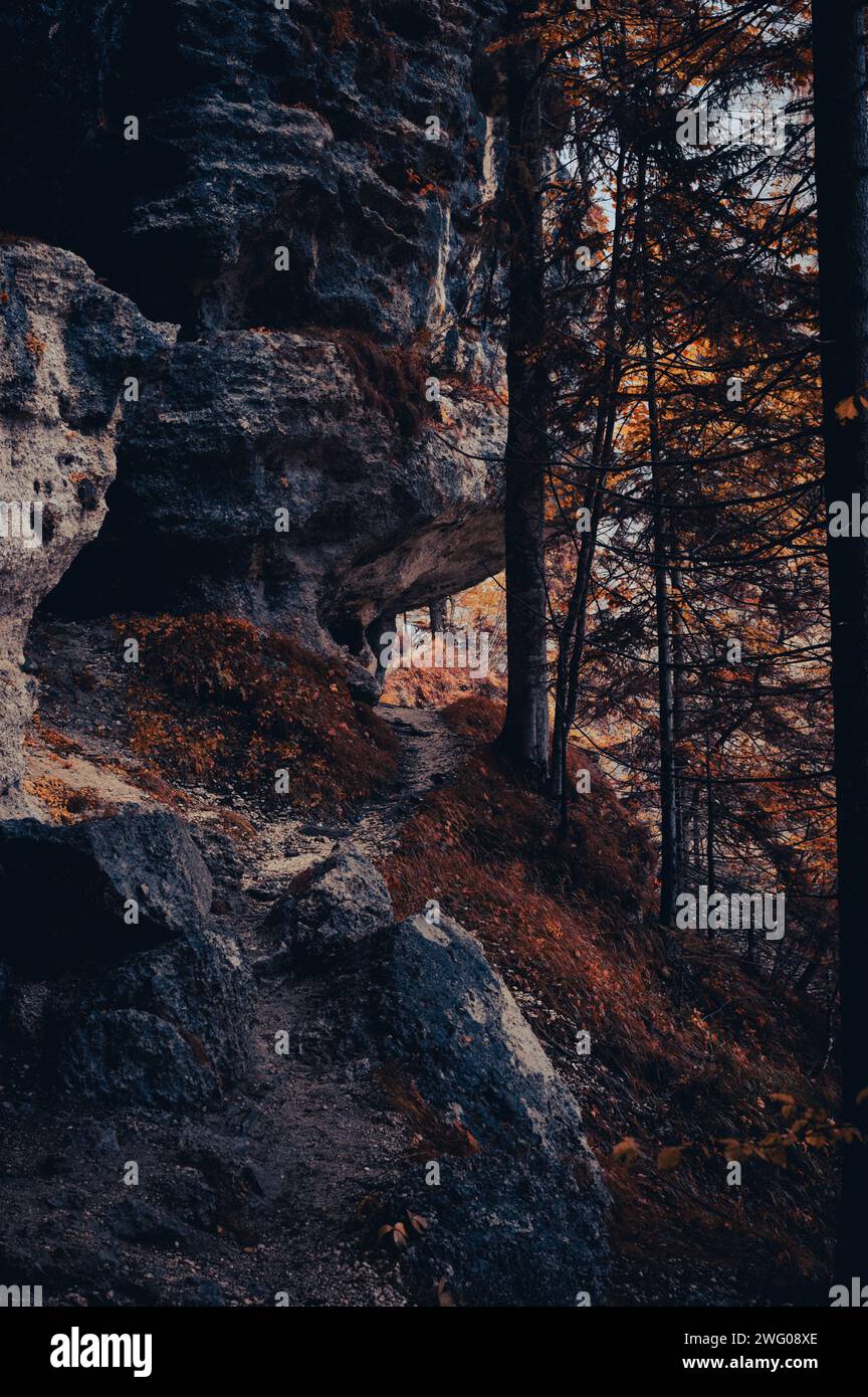 Passaggio roccioso in montagna, montagna vicino a Bled, Slovenia, foresta autunnale, verde, giallo, foglie arancioni e marroni, un po' di nebbia Foto Stock