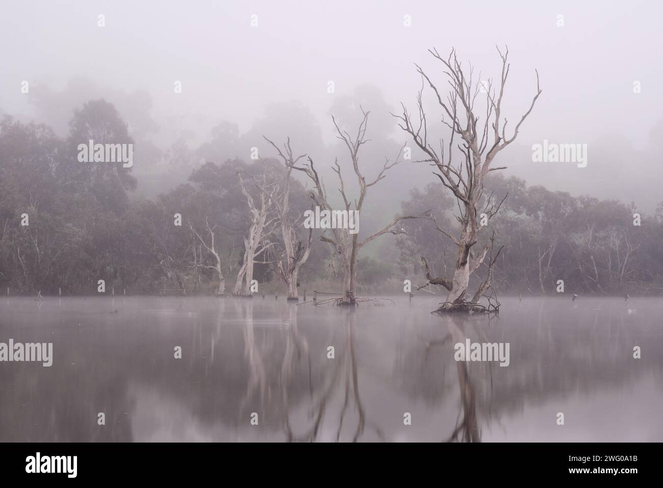 Fuori dalla nebbia Foto Stock