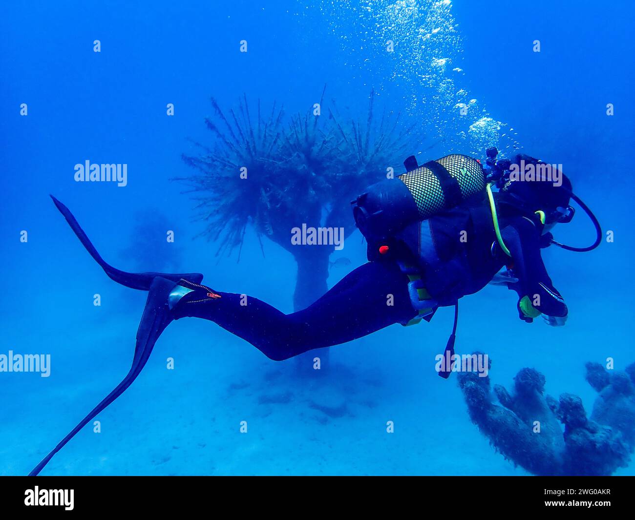 Tuffati accanto alle statue ispirate alla natura nelle tranquille acque blu di Lanzarote, bolle che sorgono dalla sua maschera Foto Stock