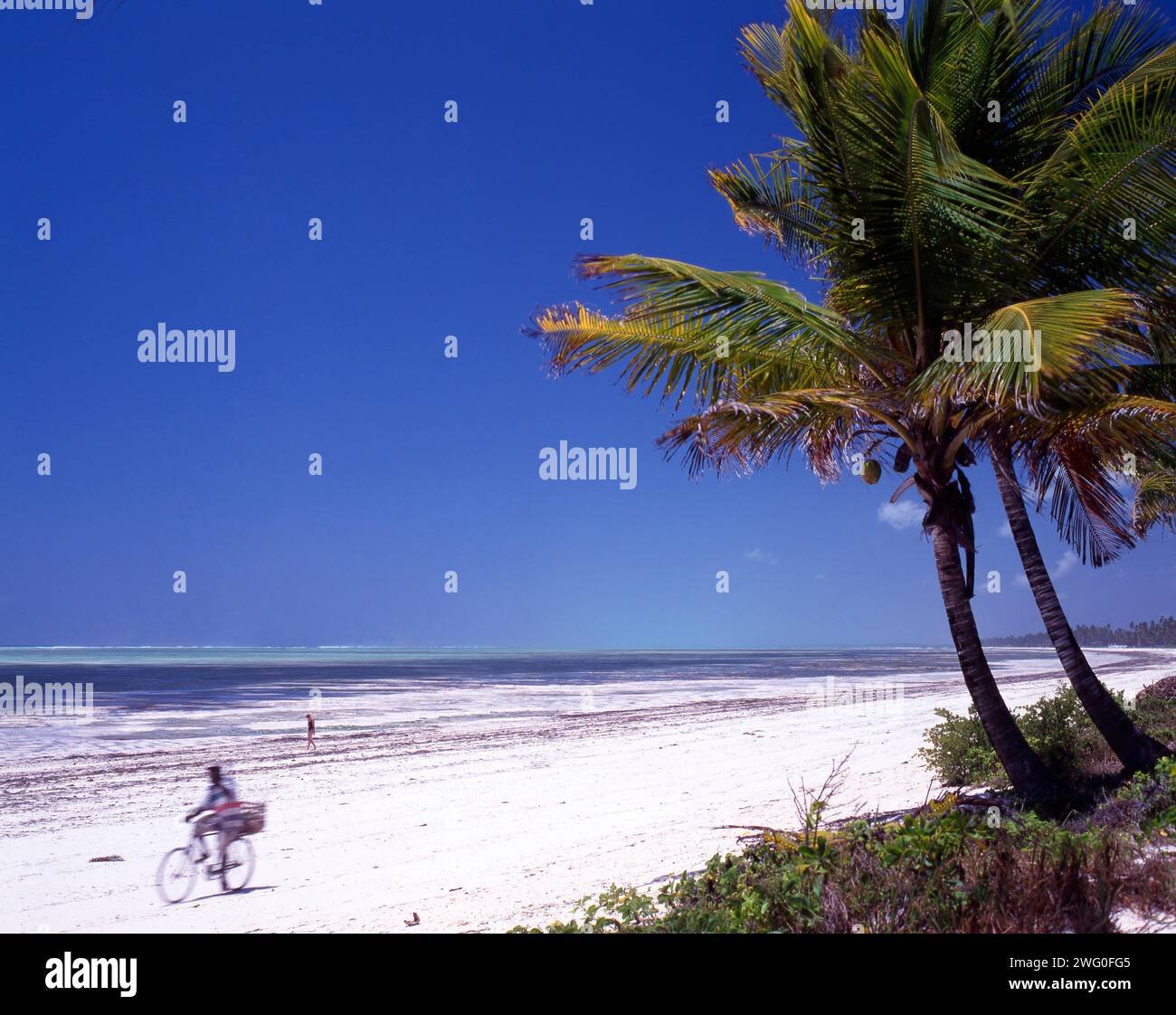 Uomo di Zanzibari in bicicletta sulla spiaggia di Bwejuu, Zanzibar, Tanzania. Foto Stock