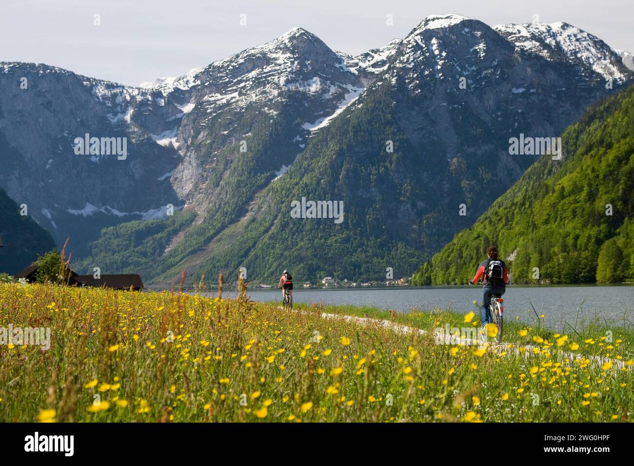 Due ciclisti pedalano lungo la riva del lago di Hallstatter, regione del Salzkammergut, Austria. Foto Stock