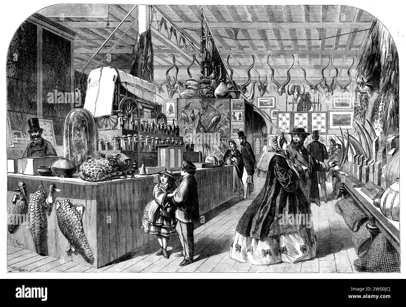 Esposizione Internazionale - veduta nella Corte Natal, 1862. Visitatori che ispezionano corna, pelli e animali ripieni dal Sudafrica. Prendere nota del modello di carro coperto. L'esposizione Internazionale del 1862 è stata una fiera mondiale tenutasi dal 1° maggio al 1° novembre 1862 a South Kensington, Londra. Il sito ospita ora musei tra cui il Museo di storia naturale e il Museo della Scienza. Da "Illustrated London News", 1862. Foto Stock