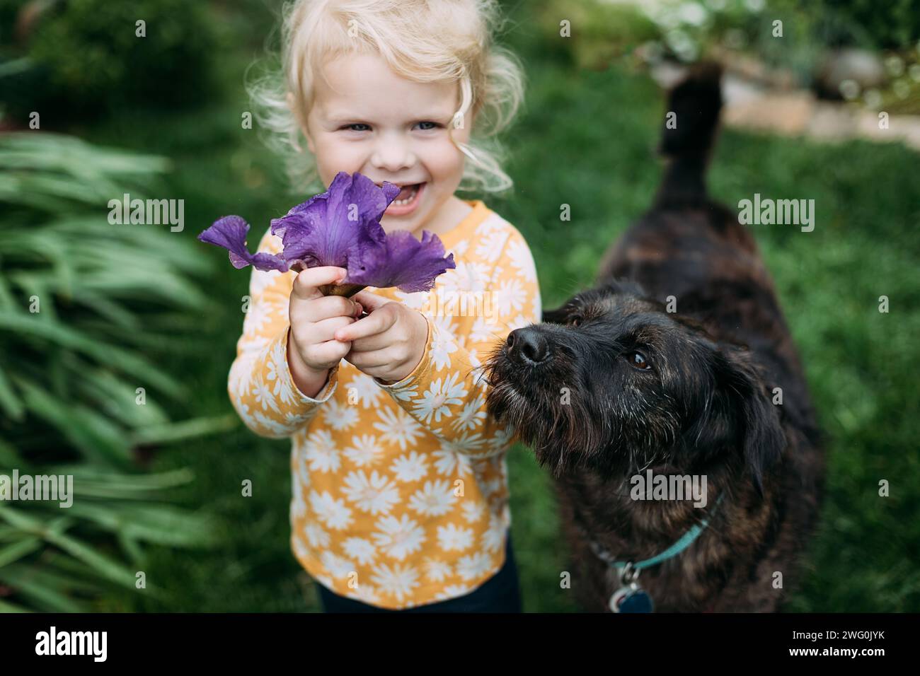 Giovane ragazza che regge un fiore di Iris viola sorridente con un cane domestico Foto Stock