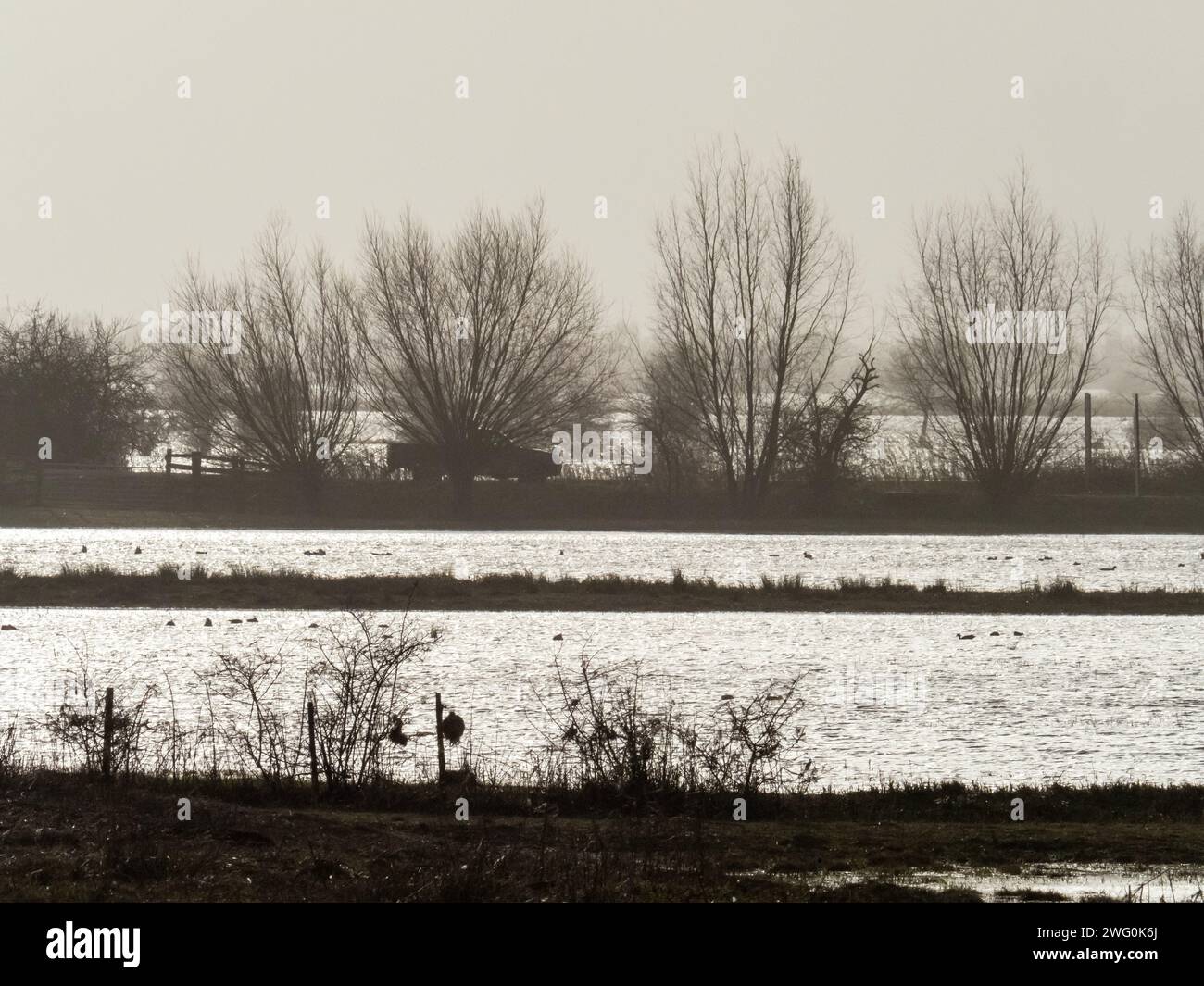 Veicoli su una strada che attraversa i lavaggi a Welney, The Fens, Norfolk, Regno Unito. Foto Stock