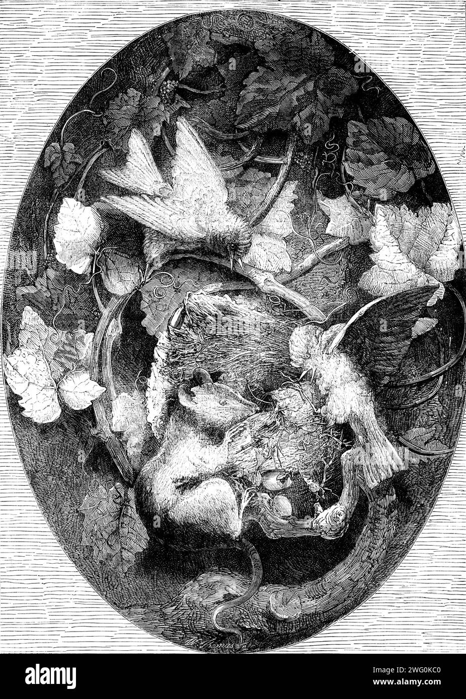 The International Exhibition: "Linnets Defending Their Nest Against a Dormouse", modellato in cera da A. Cain, 1862. "Il titolo di questo modello più elaborato e delicatamente eseguito suggerisce una lotta furiosa e forse prolungata tra gli antagonisti curiosamente ma non molto ineguagliabile... il nostro linnet e le comuni specie selvatiche di topo sono rispettivamente tra i più piccoli di uccelli e quadrupedi... l'azione delle piccole creature è data con uno spirito immenso. Il grande loir, accovacciato e persistente, ha abbattuto un lato del nido e ha già incrinato due o tre uova; ma Th Foto Stock