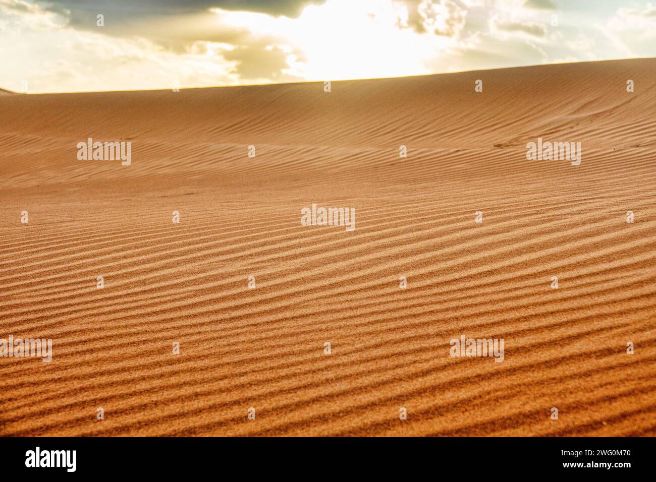 Deserti rossi della parte sud-orientale della penisola arabica. Processi eoliani. Segni di ondulazione (ondulazione dritta) e metarippli di sabbia (barkhan) in J. Foto Stock