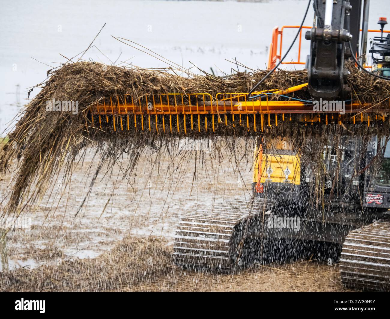 Una macchina che elimina i detriti delle inondazioni da un fosso di drenaggio sui lavaggi Nene nel Cambridgeshire, Regno Unito. Foto Stock