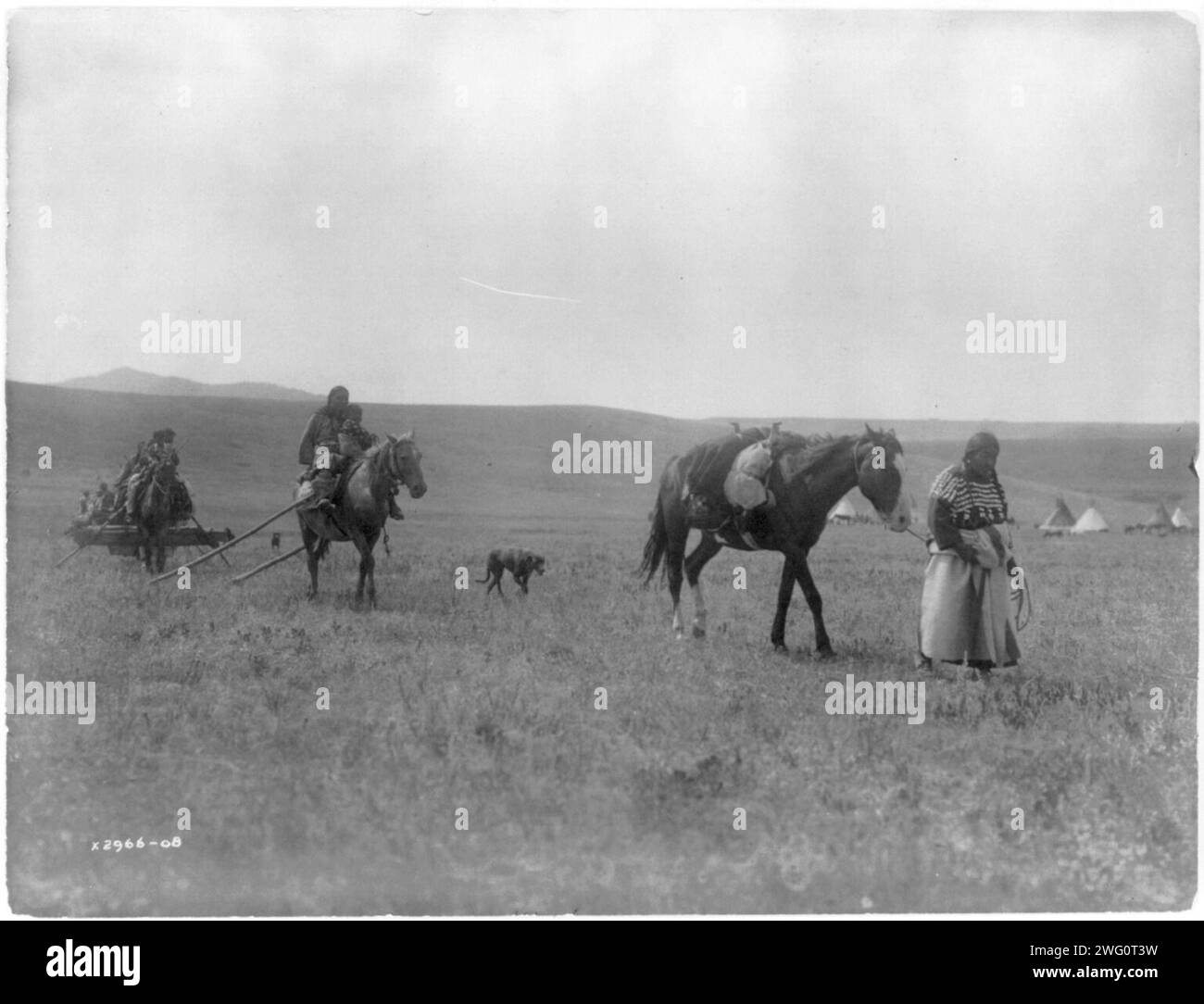 Il portatubi Atsina, c1908. Atsina donna che guida un cavallo da branco, altri che seguono montato su cavalli con travois, cani; tipis sullo sfondo. Foto Stock