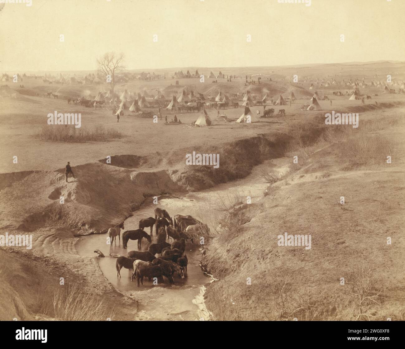 Villa di Brule, c1891. Un campo di Lakota tipi vicino a Pine Ridge, sullo sfondo; cavalli al White Clay Creek Watering Hole, in primo piano. Foto Stock