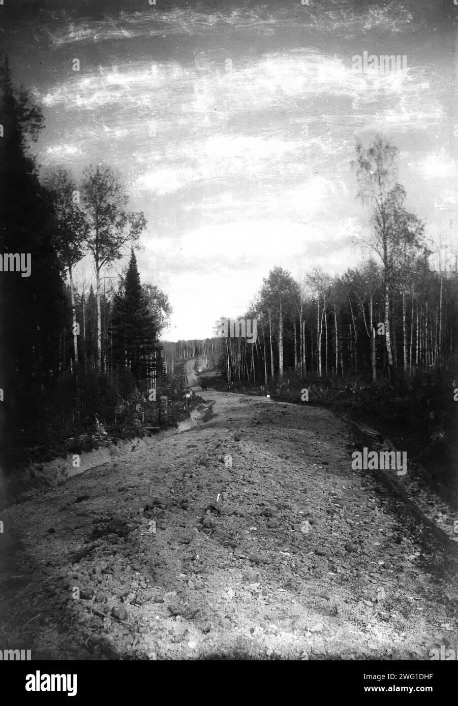 Posto letto prima di Smoothing, 1909. Fotografie che documentano varie fasi della costruzione di strade sterrate nella regione di Tomsk da parte di lavoratori e ingegneri del dipartimento per la costruzione di strade dell'amministrazione russa per il reinsediamento. Gli album risalgono al 1906-8 e al 1909. Lo stato russo pagò per la costruzione di strade come quelle raffigurate negli album al fine di collegare i coloni con una linea ferroviaria, un fiume navigabile o centri commerciali-industriali. Lo scopo generale del programma di costruzione di strade era quello di promuovere la colonizzazione della taiga (regioni umide di foreste di conifere) della Siberia. TH Foto Stock