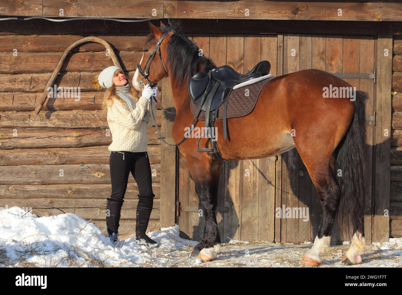 donna di campagna attiva per il tempo libero in un allevamento di cavalli invernale Foto Stock