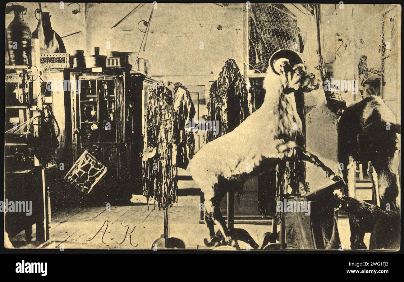 Iakutsk: Museo, 1904-1917. Biblioteca nazionale della Russia Foto Stock