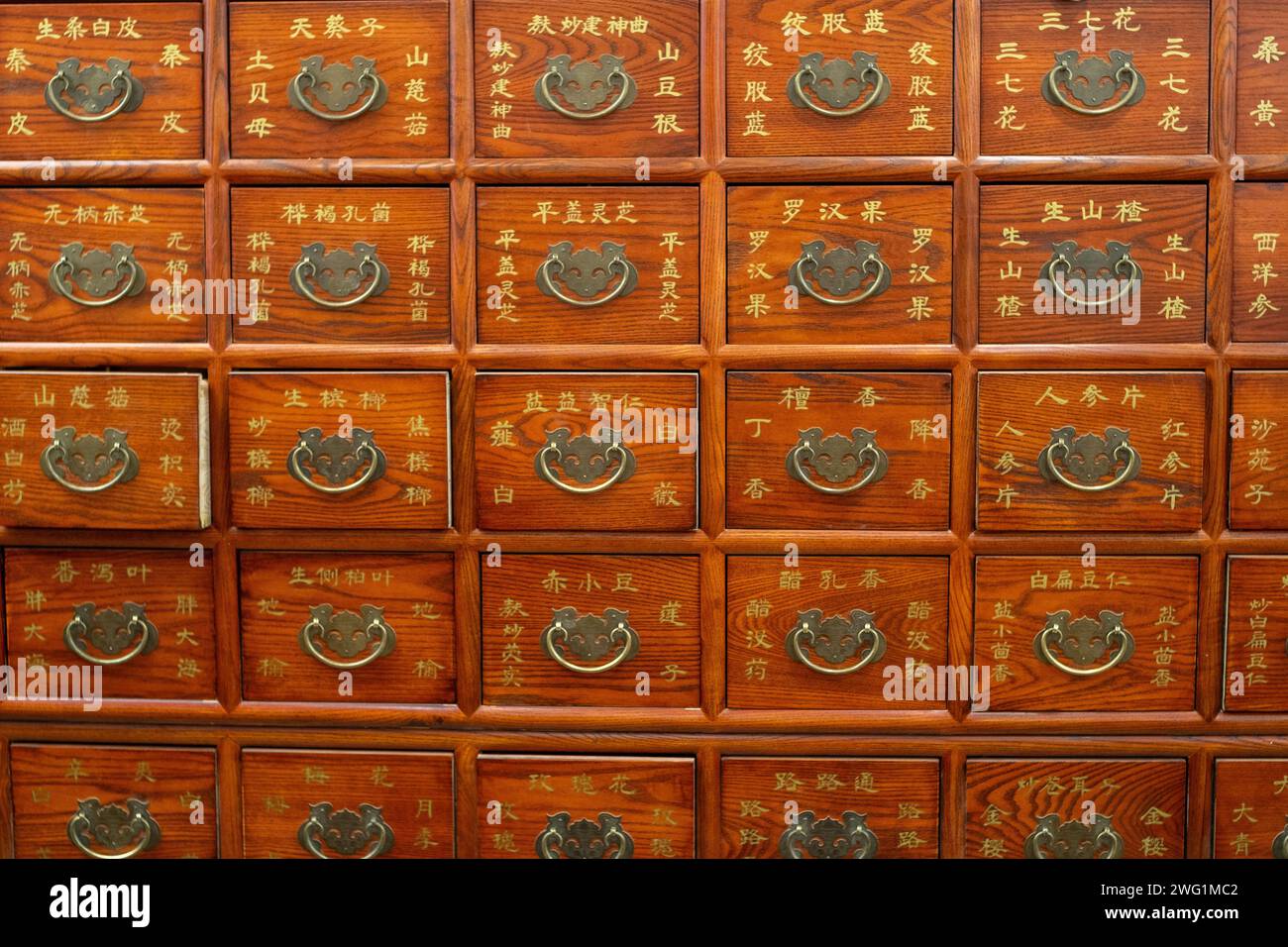 Un gabinetto di medicina cinese con i nomi di varie medicine tradizionali cinesi a Pechino, in Cina. Foto Stock