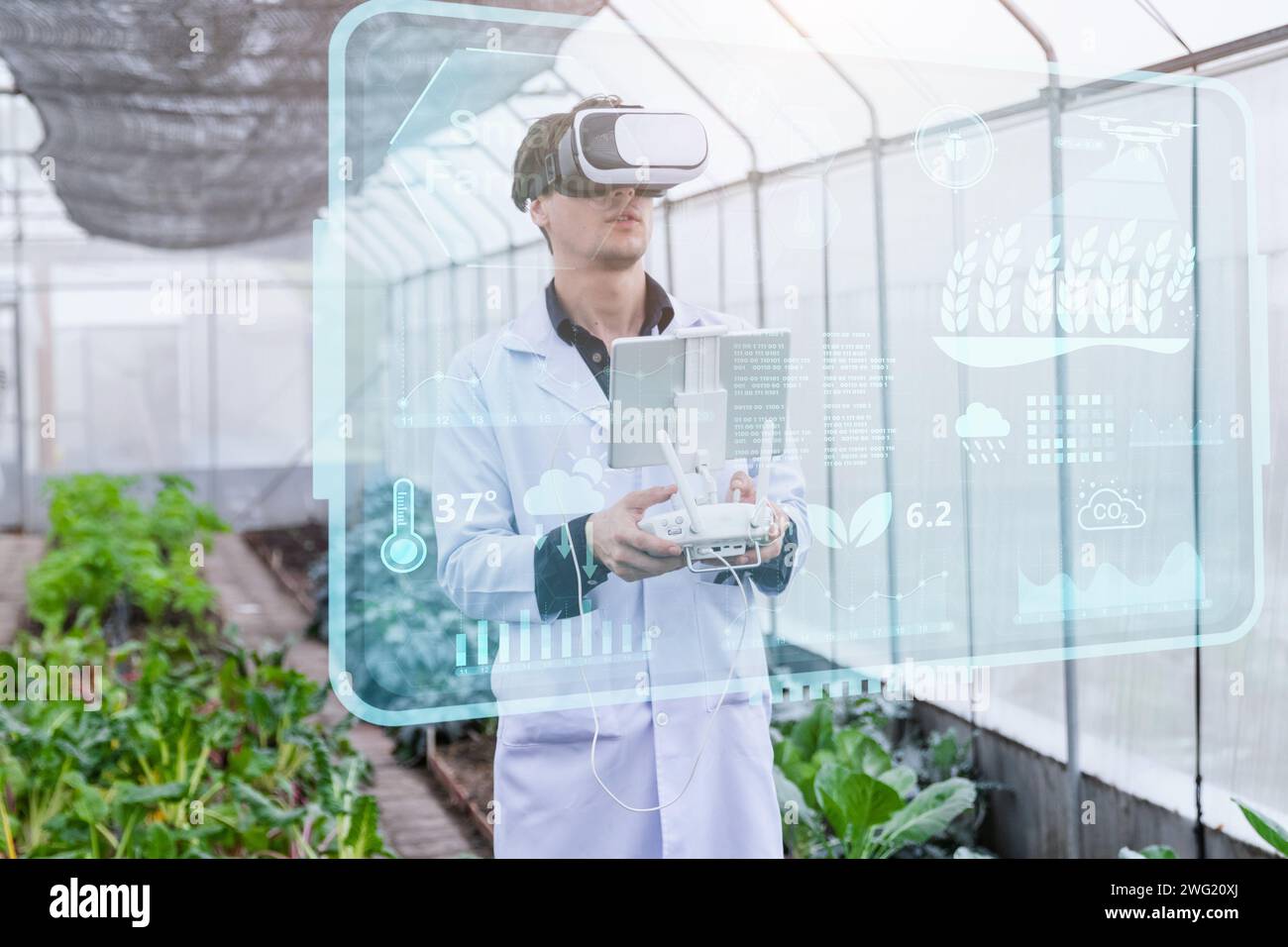 Scienziato agricolo che utilizza un moderno dispositivo di ricerca per la crescita delle piante sistema VR per monitorare il sistema informativo per la crescita delle piante Foto Stock