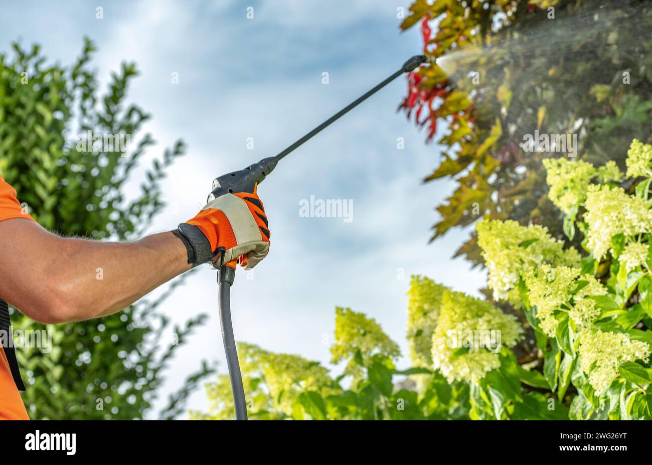 Insetticidi alberi da cortile per lavoratori in giardino professionisti utilizzando l'irroratrice da vicino Foto Stock