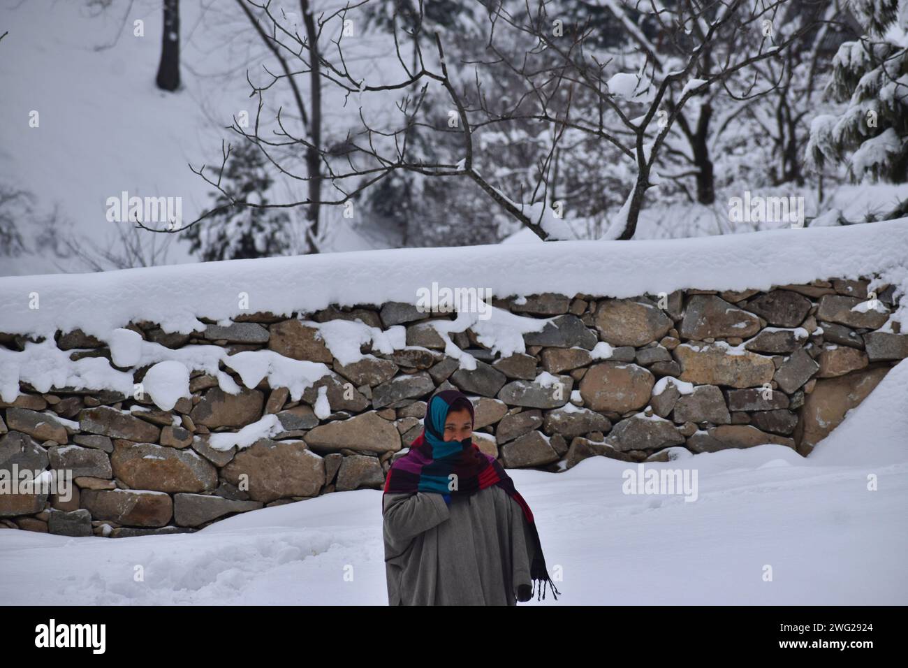 Srinagar, India. 2 febbraio 2024. 02 febbraio 2024, Srinagar, India: Una donna cammina su una collina innevata dopo una nevicata alla periferia di Srinagar. Dopo un fresco periodo di nevicate, alcune parti del Kashmir si trovano in condizioni climatiche molto fredde. Il dipartimento meteorologico locale ha previsto un altro incantesimo di bagnato. Il 2 febbraio 2024, Srinagar Kashmir, India. (Foto di Firdous Nazir/Eyepix Group) credito: SIPA USA/Alamy Live News Foto Stock