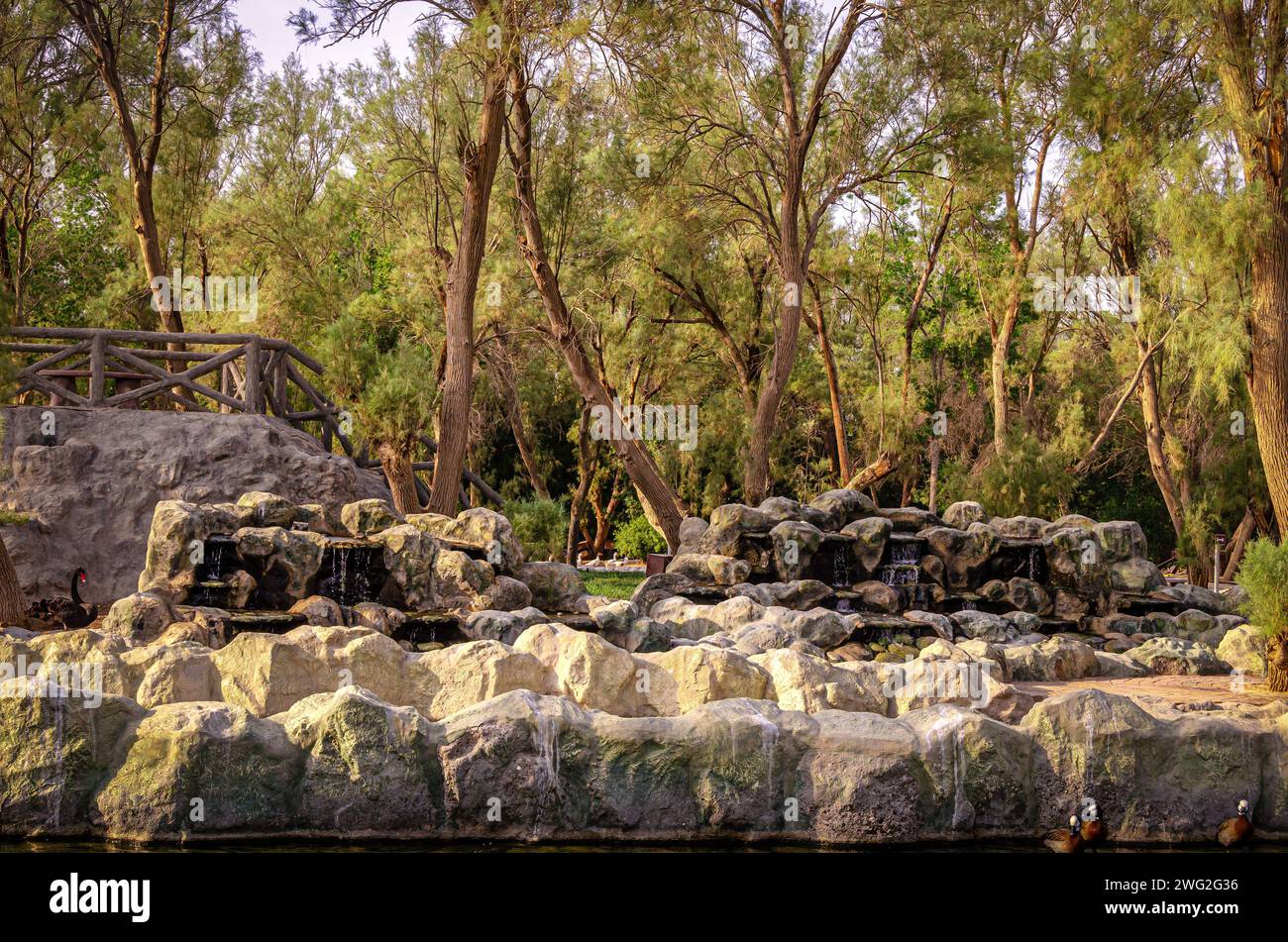 Al Areen Wild Life Park, Bahrein Foto Stock