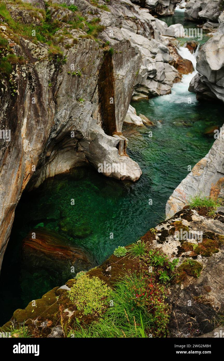 Bellezza naturale: la valle Verzasca nel fiume Ticino Foto Stock