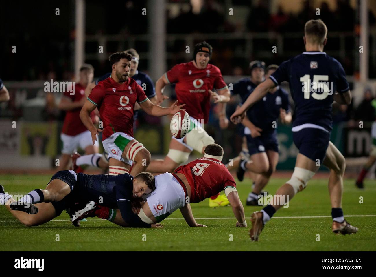 Colwyn Bay, Regno Unito. 31 agosto 2023. Morgan Morse, Galles U20, scarta la palla durante il Guinness U20 Six Nations Match 2024 Galles U20s vs Scozia U20s allo Stadiwm CSM, Colwyn Bay, Regno Unito, 2 febbraio 2024 (foto di Steve Flynn/News Images) a Colwyn Bay, Regno Unito il 31/8/2023. (Foto di Steve Flynn/News Images/Sipa USA) credito: SIPA USA/Alamy Live News Foto Stock