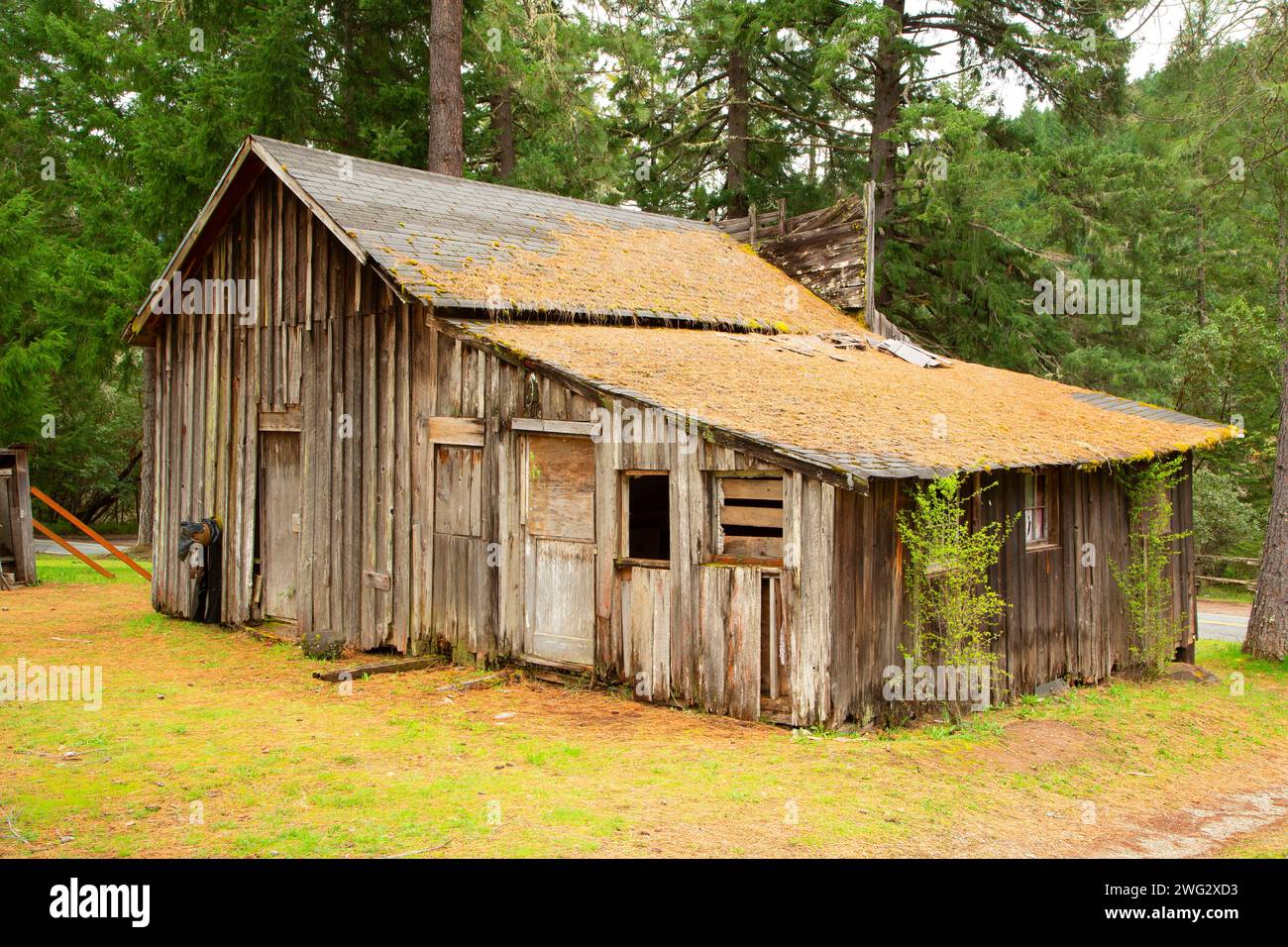 Barn, Golden State Park, Oregon Foto Stock