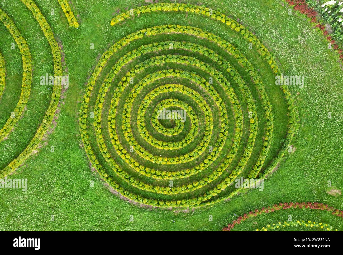 Vista aerea del bellissimo giardino estivo con prato verde e cespugli a forma di spirale. Design paesaggistico Foto Stock