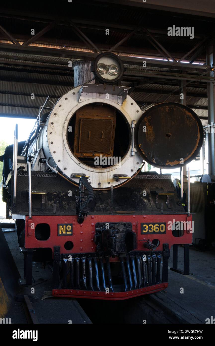 Treno a vapore alla stazione ferroviaria di Rovos a Pretoria, Sudafrica Foto Stock