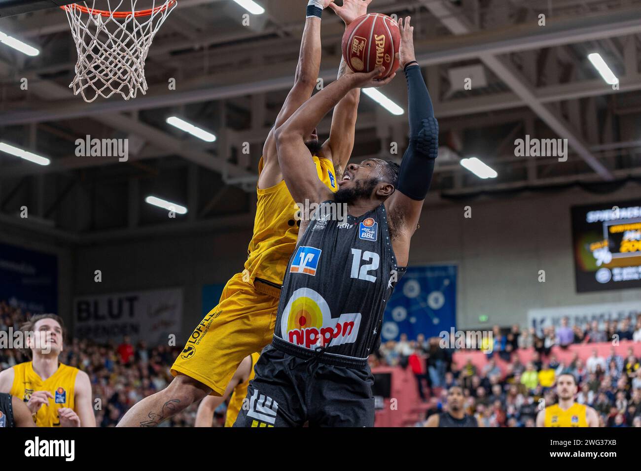 Jhivvan Jackson (Tigers Tuebingen, n. 56) James Murray-Boyles (HAKRO Merlins Crailsheim, n. 12) Tigers Tuebingen vs. HAKRO Merlins Crailsheim, Basketball, 1. Bundesliga, easyCredit BBL, Spielzeit 2023/2024, 19. Spieltag, 02.02.2024 foto: Eibner-Pressefoto/Nina Sander Foto Stock