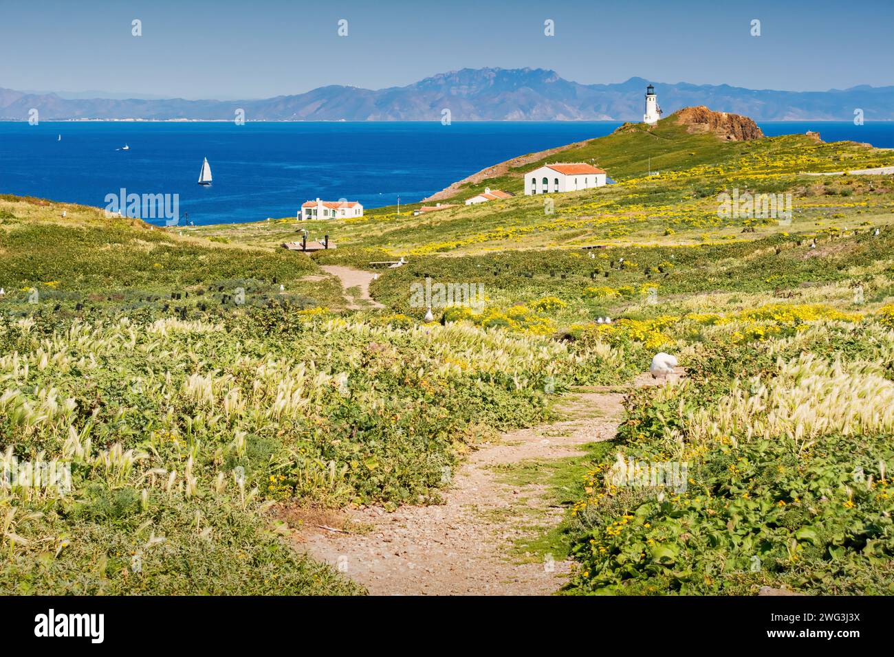 Faro sull'isola di Anacapa, Channel Islands National Park, California, Stati Uniti Foto Stock