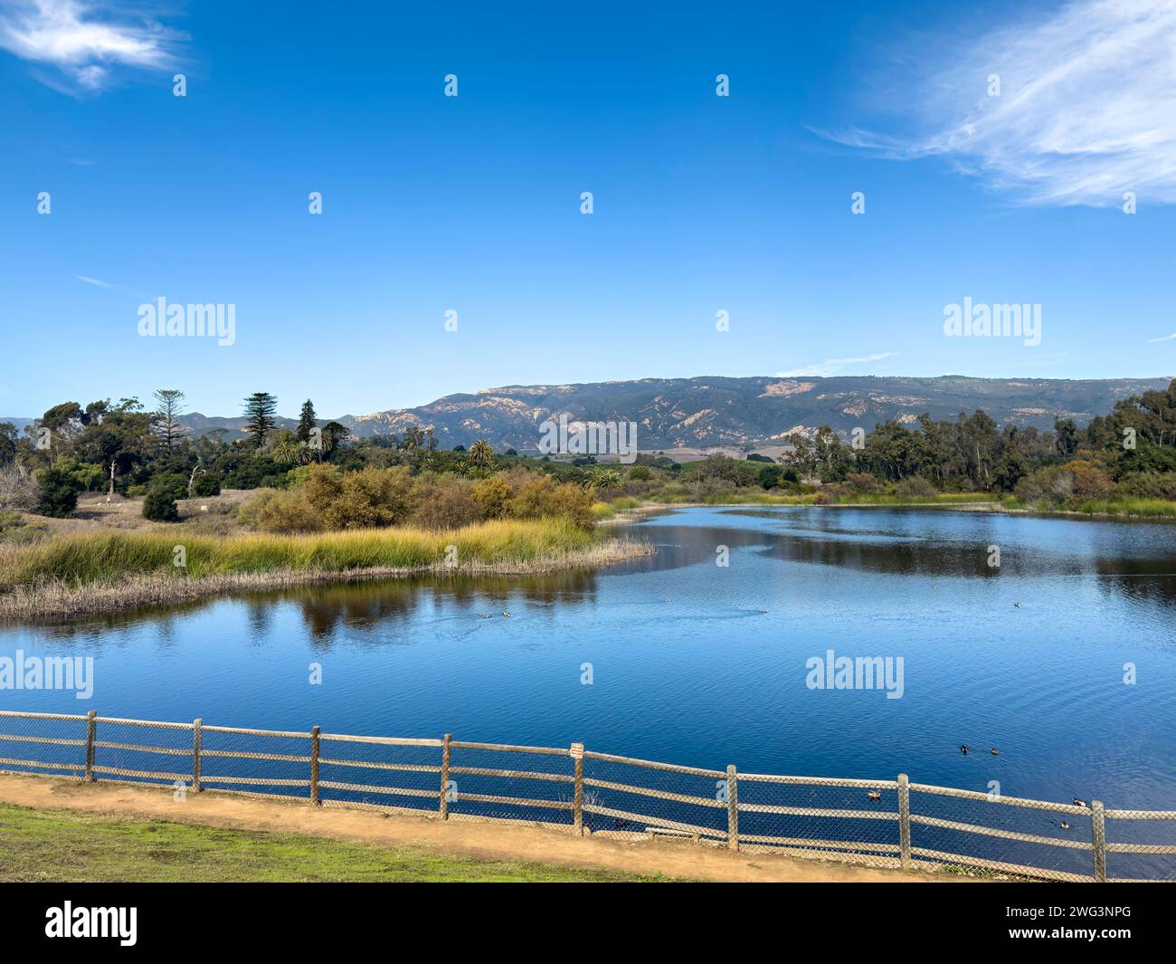 Goleta, CA, USA - 27 dicembre 2023: Lake Los Carneros Park. La diga del bacino idrico è un punto panoramico che si affaccia a nord-ovest sulla catena montuosa di Santa Inez. Uccelli e anatre Foto Stock