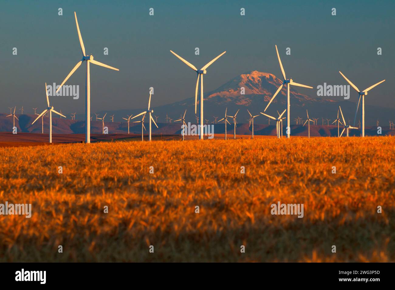 Turbine eoliche per Mt Hood, Sherman County, Oregon Foto Stock