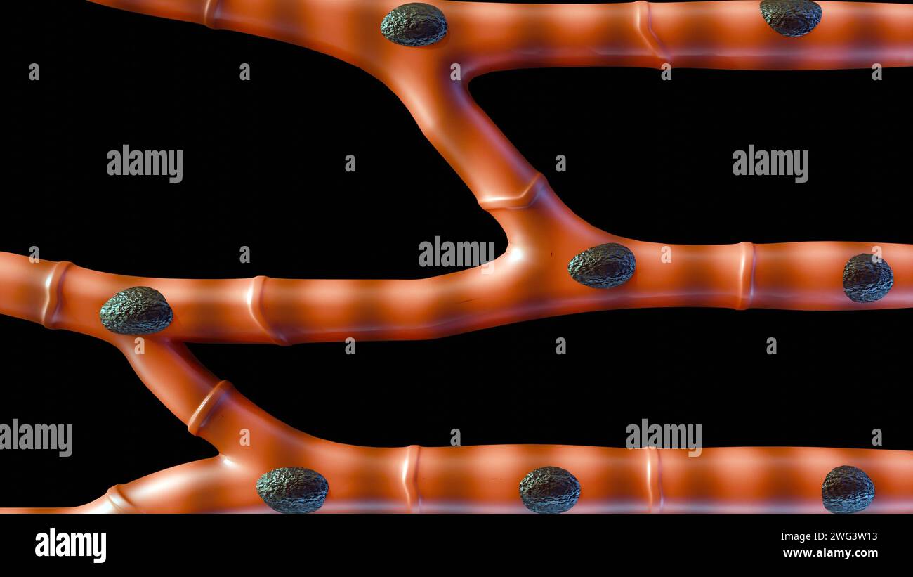 il muscolo cardiaco isolato, noto anche come muscolo cardiaco o miocardio, è un tipo di tessuto muscolare che costituisce il cuore, rendering 3d. Foto Stock