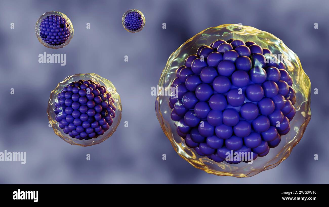 il rendering 3d delle cellule è circondato da una membrana di plasma, che è una barriera sottile e flessibile che separa la cellula dal suo ambiente. Foto Stock