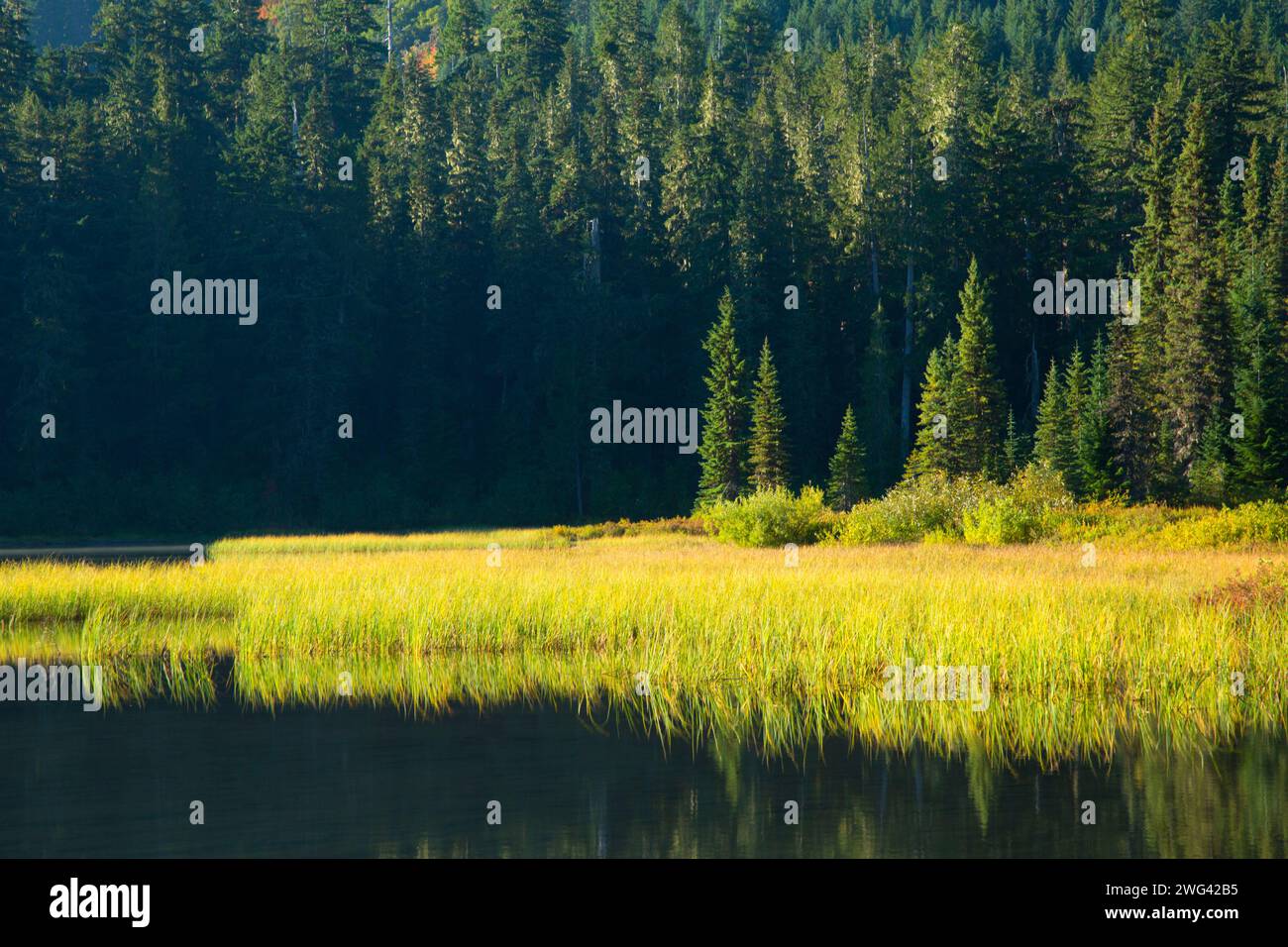 Elk Lake, Mt Hood National Forest, Oregon Foto Stock