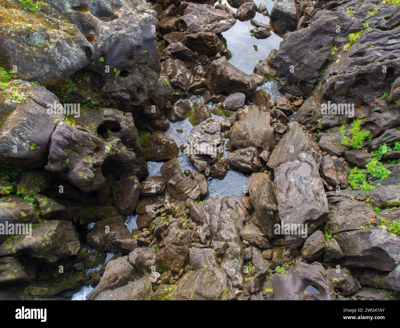 Rocce coperte di muschio e ruscello d'acqua Foto Stock