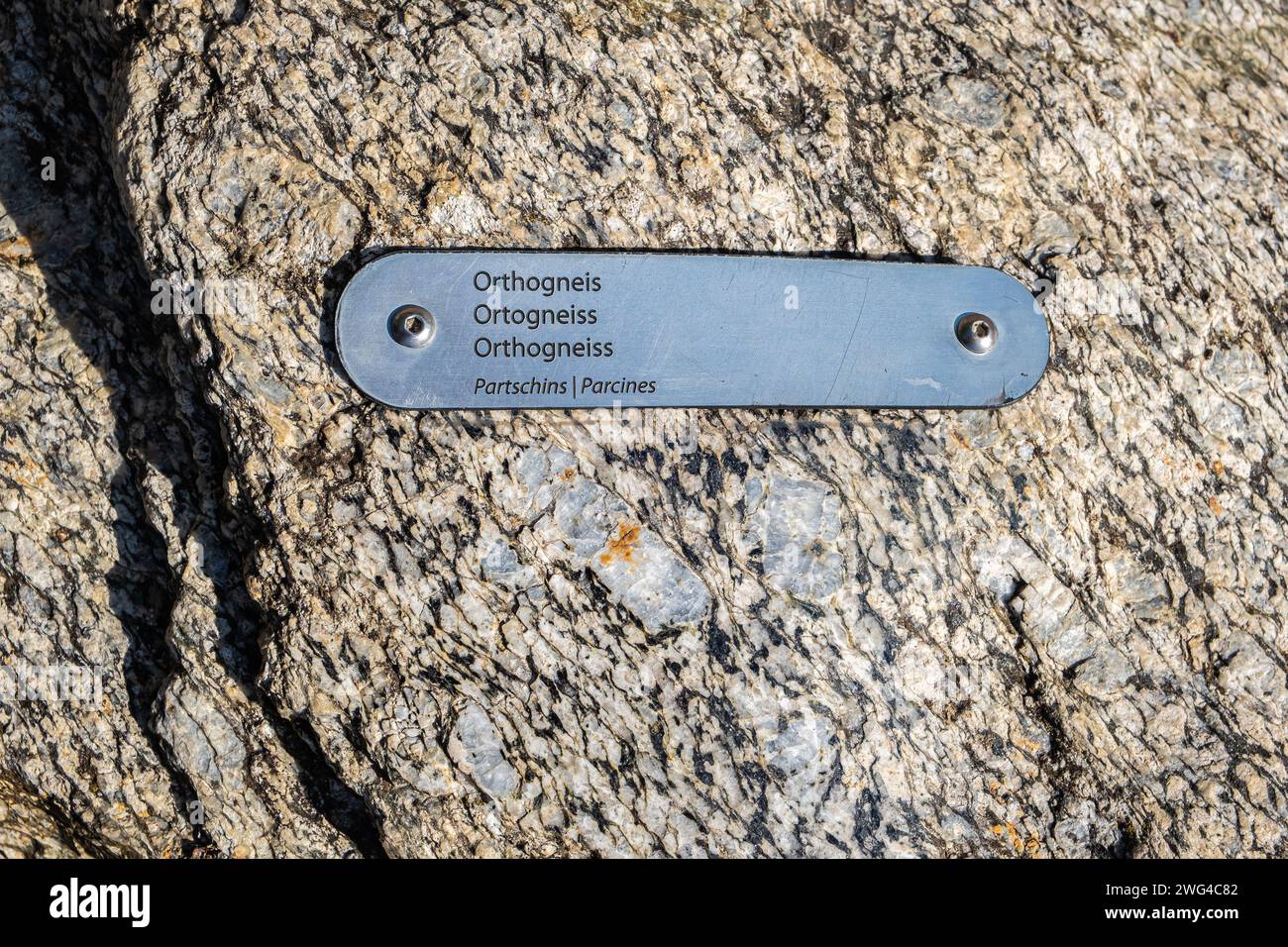 Roccia di Orthogneiss (roccia ignea) da Parcines, alto Adige. Trentino alto Adige, Italia settentrionale. Vista ravvicinata del campione Foto Stock