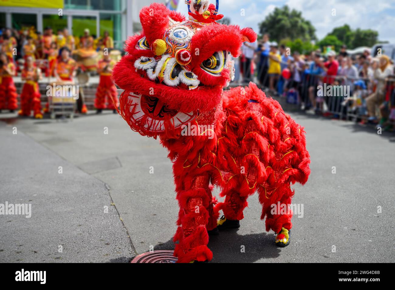Ballo cinese del leone di Capodanno. Spettacolo gratuito in strada. Pubblico e interpreti non riconoscibili in sottofondo. Auckland. Foto Stock