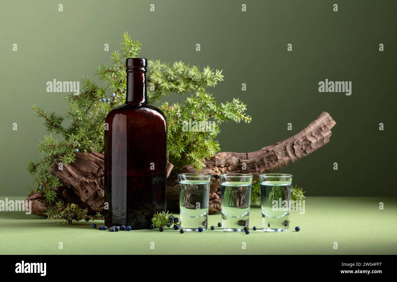 Gin in bottiglia vintage su uno sfondo di vecchi snags e rami di ginepro con frutti di bosco. Applicare l'etichetta sul flacone. Sfondo verde con spazio di copia Foto Stock