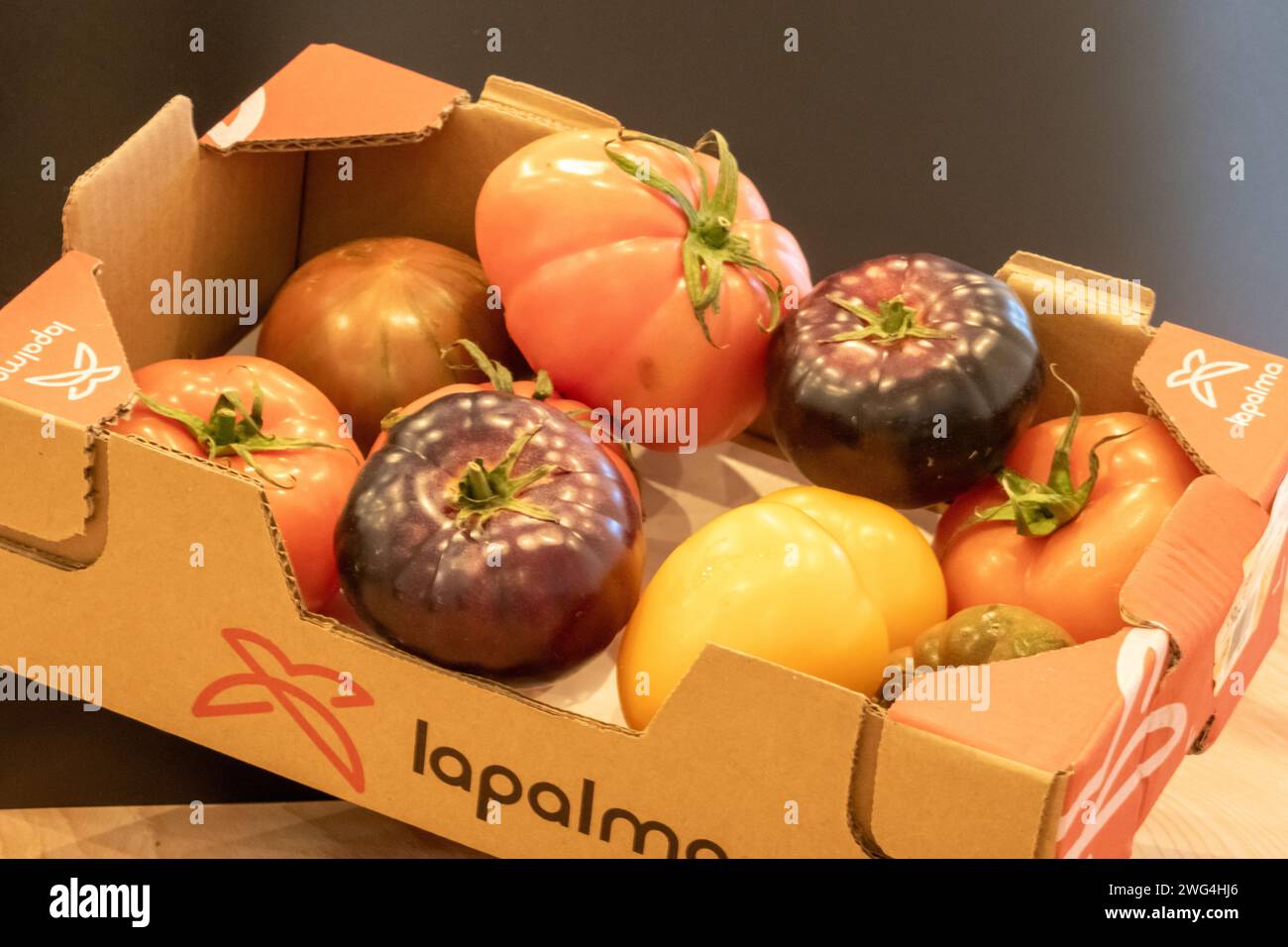 Una varietà di pomodori, tra cui il pomodoro Purple Bay Foto Stock