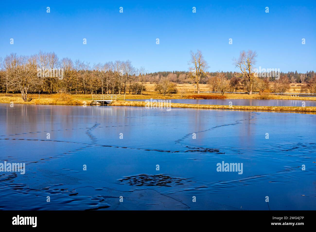 Breve escursione invernale in una splendida giornata di sole lungo l'ex confine tra Turingia, Assia e Baviera - Fladungen - Rhön - Germania Foto Stock