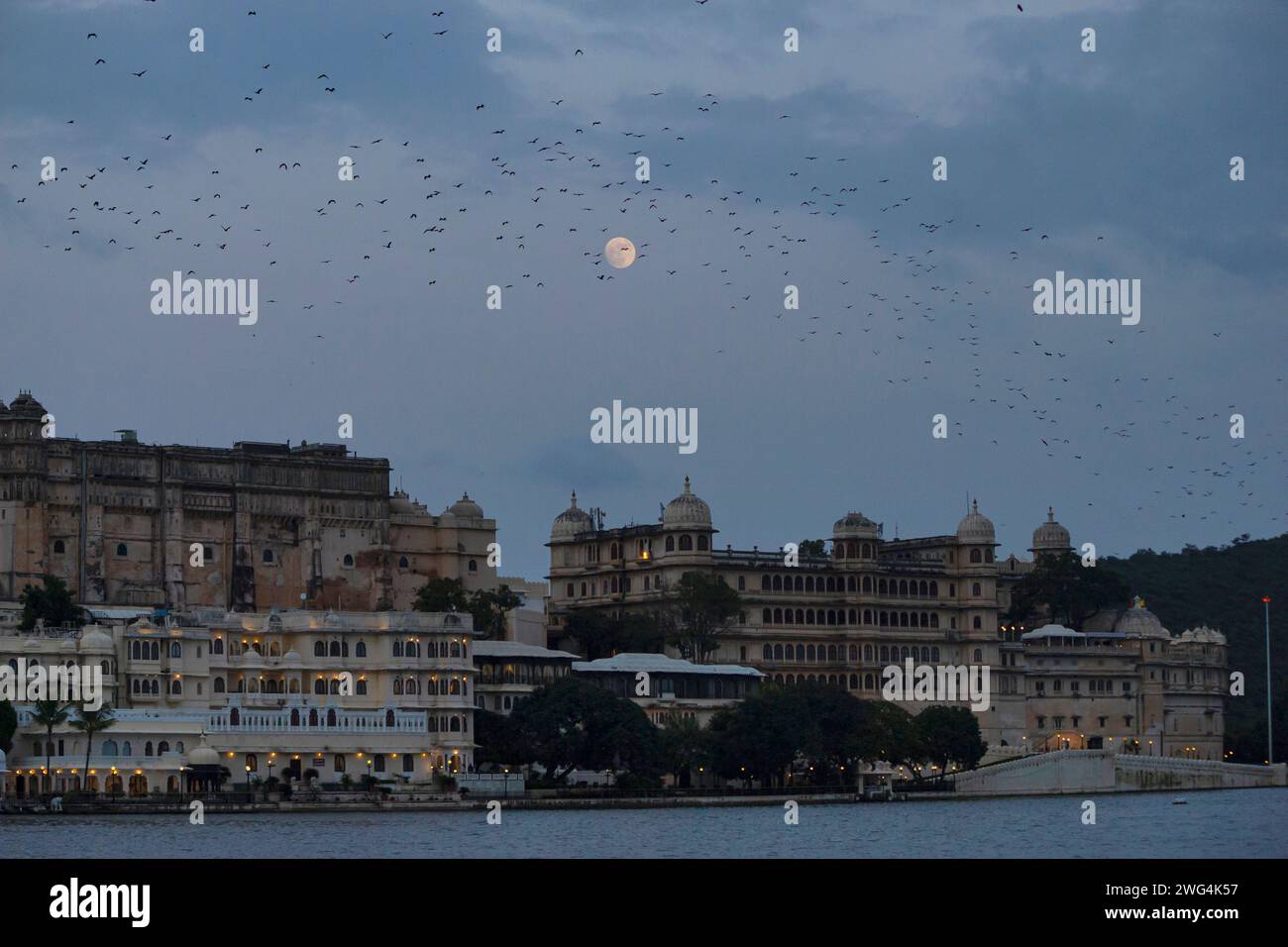 Vista serale del Palazzo della città e dei pipistrelli che volano con la Luna sullo sfondo, Udaipur, Rajasthan, India. Foto Stock