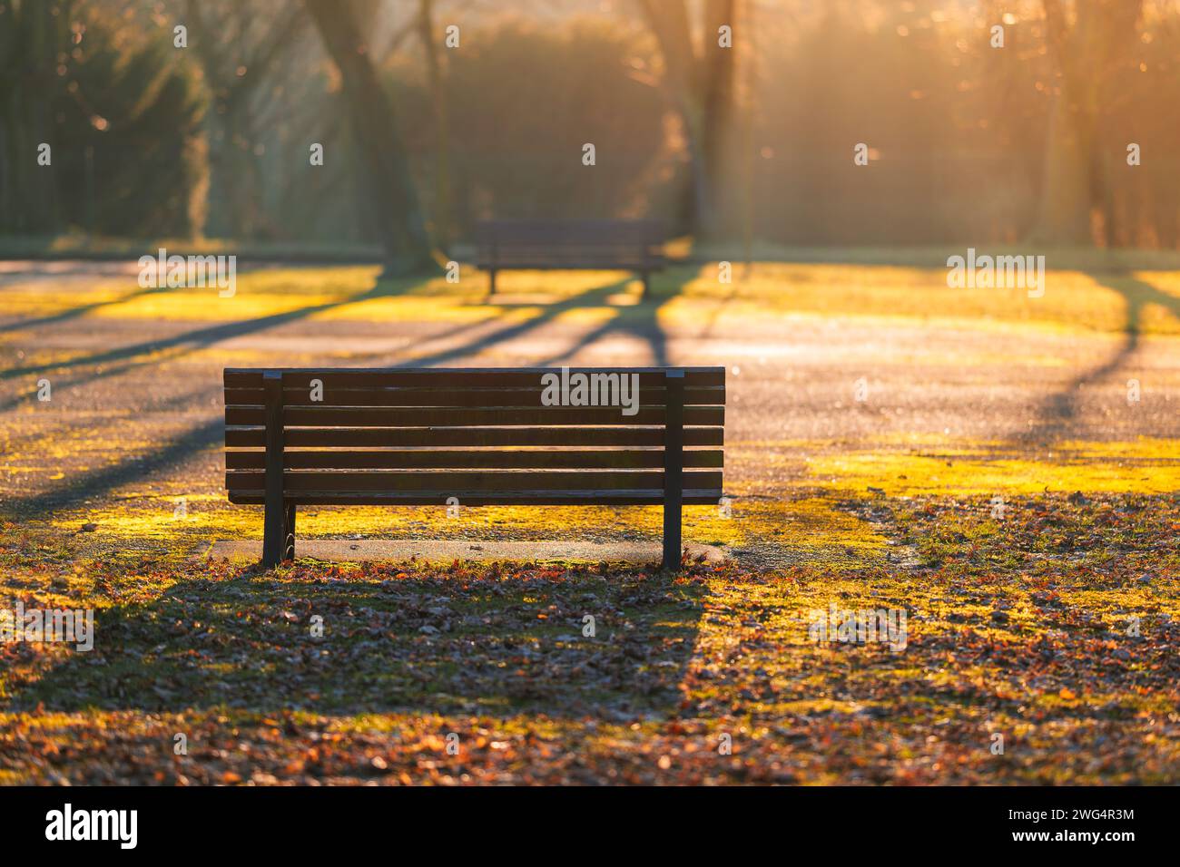 Panca vuota con sfondo illuminato sfocato. Autunno nel parco. Un effetto da sogno e bagliore Foto Stock