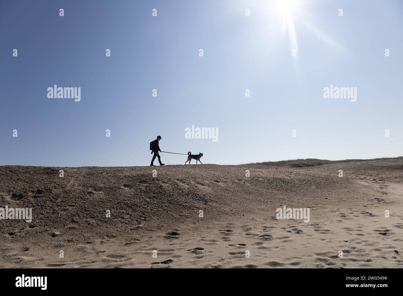 Dog Walk sul Bech Foto Stock