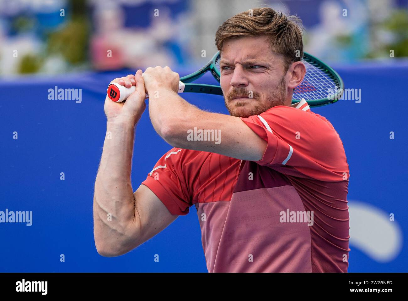 Il belga David Goffin in azione durante il Round of 16 del torneo Canberra International ATP Challenger 125 del 2024 Foto Stock