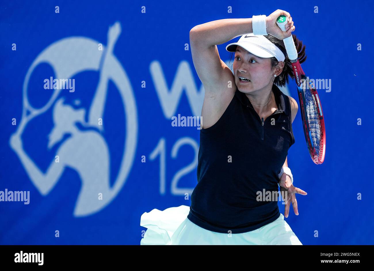 Yafan Wang cinese in azione durante il Round of 16 del torneo Canberra International WTA 125 del 2024 Foto Stock