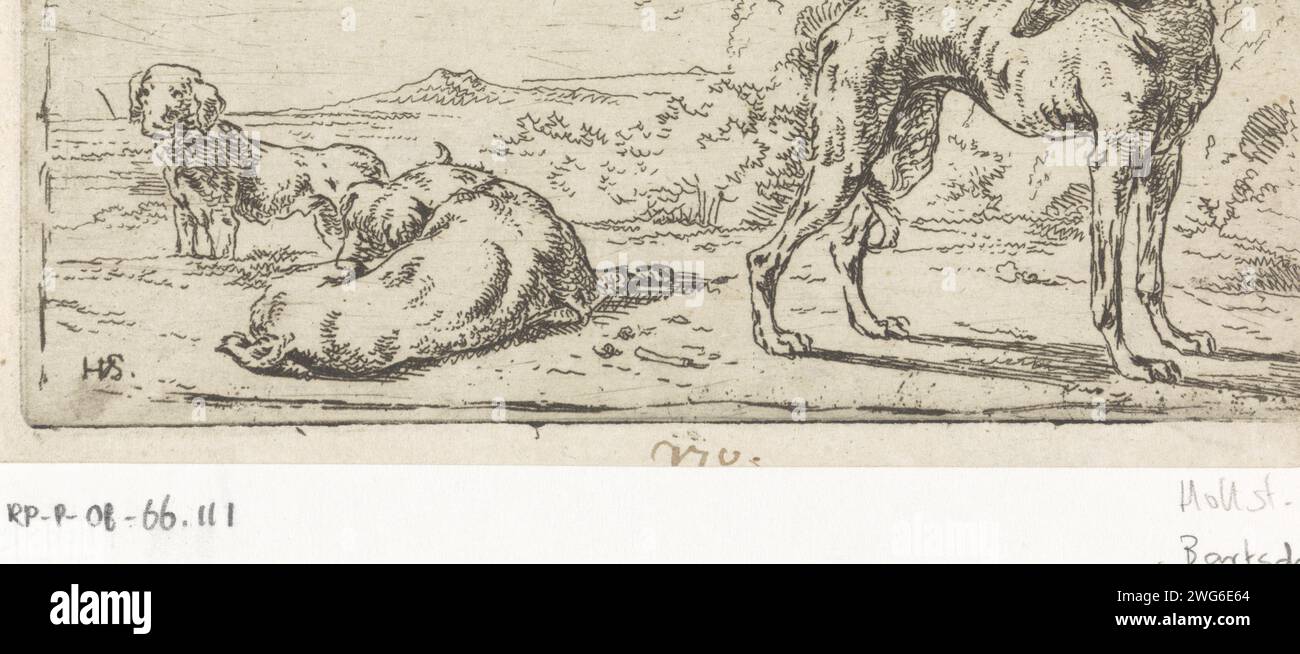 Tre cani in un paesaggio, Hendrik Verschuring, 1635 - 1690 cane da incisione di carta stampata Foto Stock