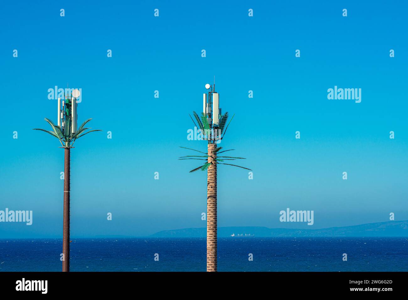 Antenne telefoniche nascoste tra palme Foto Stock