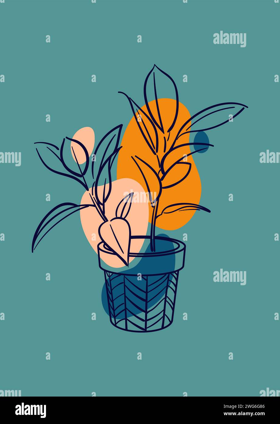 Ficus Rubber elastica Belize, Tineke. Pianta esotica in un vaso. Floricoltura domestica, piante domestiche, hobby. Illustrazione vettoriale botanica disegnata a mano Illustrazione Vettoriale