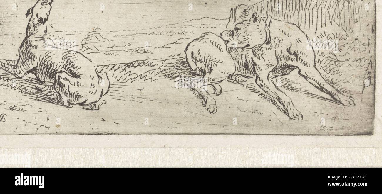 Due cani orizzontali, Hendrik Verschuring, cane da incisione di carta stampata 1635 - 1690 Foto Stock