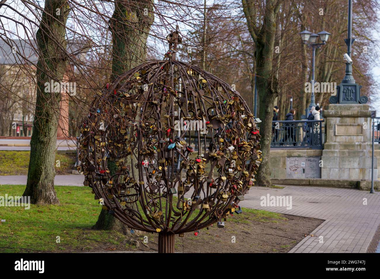Albero dell'amore nel centro di Klaipeda, Lituania Foto Stock